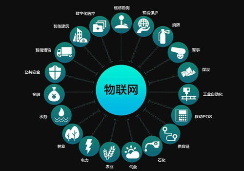 南充科技职业学院网络系统集成专业 构建数字时代的网络基石